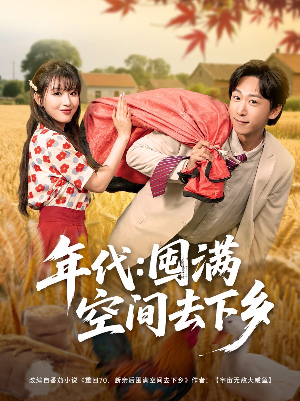 年代囤滿空間去下鄉(全集)