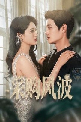 采購風波(全集)