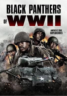 二戰(zhàn)黑豹(全集)