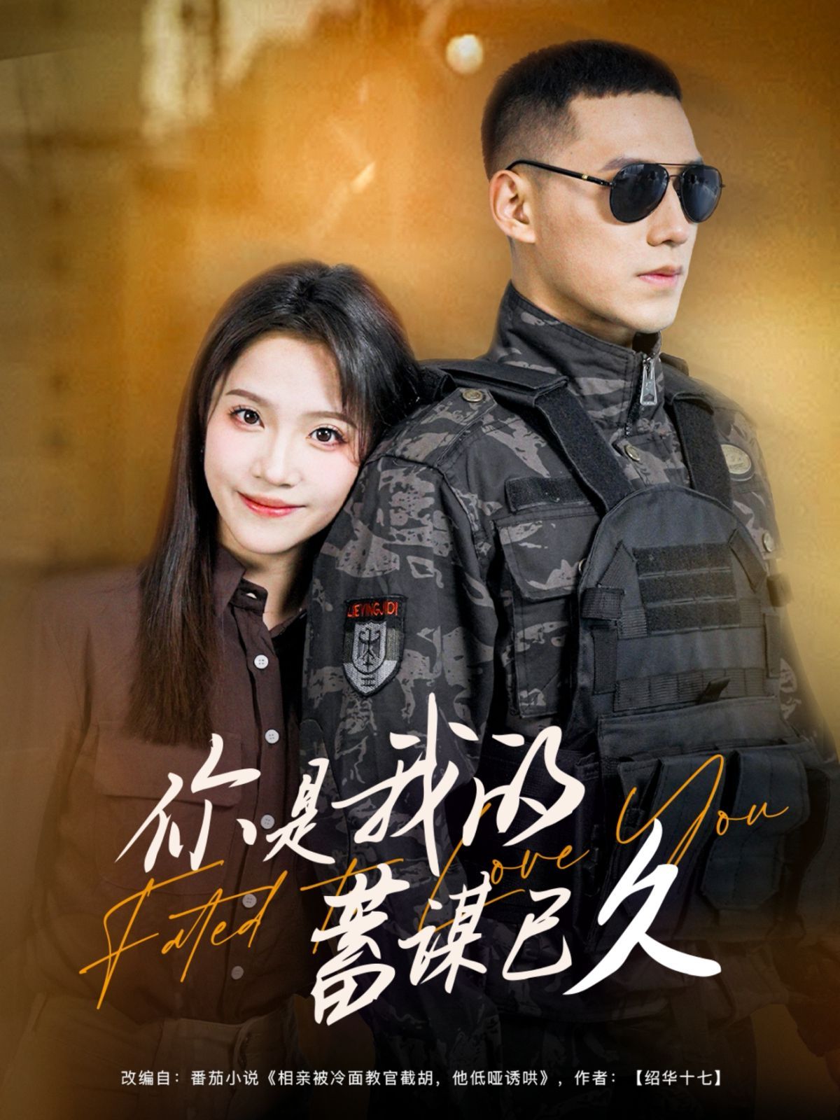 你是我的蓄謀已久(全集)