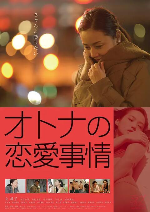 成年人的愛情故事(全集)