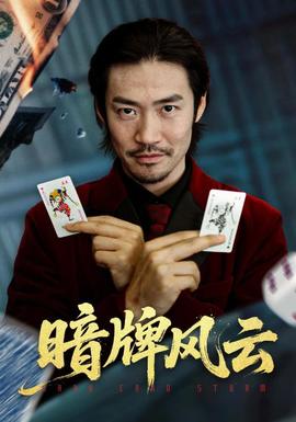 暗牌風云(全集)